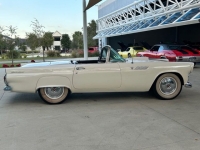 1955 Ford Thunderbird for sale in Riverhead, New York (ID-124640)
