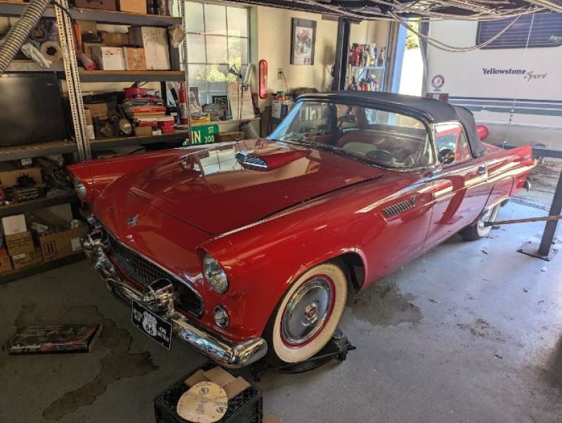 1955 Ford Thunderbird for sale in Michigan (ID-134802)