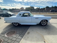 1955 Ford Thunderbird for sale in Michigan (ID-134850)
