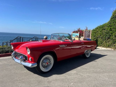 1955 Ford Thunderbird for sale