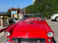 1955 Ford Thunderbird for sale in Michigan (ID-136008)