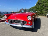 1955 Ford Thunderbird for sale in Michigan (ID-136007)