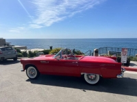 1955 Ford Thunderbird for sale in Michigan (ID-136008)