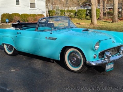 1955 Ford Thunderbird for sale