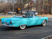 1955 Ford Thunderbird for sale in Riverhead, New York (ID-137826)