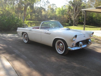 1955 Ford Thunderbird for sale