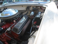 1955 Ford Thunderbird for sale in Michigan (ID-139407)