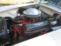 1955 Ford Thunderbird for sale in Michigan (ID-139407)