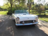1955 Ford Thunderbird for sale in Michigan (ID-139407)