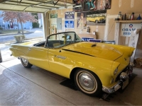 1955 Ford Thunderbird for sale in Michigan (ID-139707)
