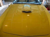 1955 Ford Thunderbird for sale in Michigan (ID-139707)