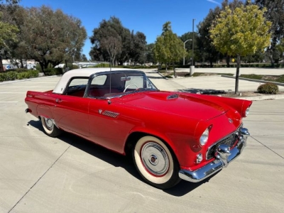 1955 Ford Thunderbird for sale