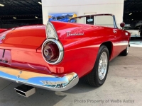 1955 Ford Thunderbird for sale in Riverhead, New York (ID-141688)
