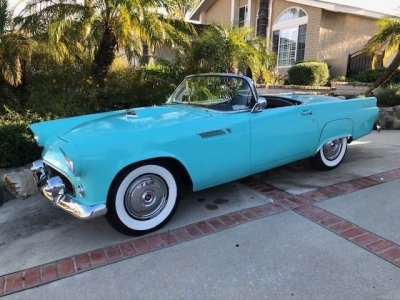 1955 Ford Thunderbird for sale