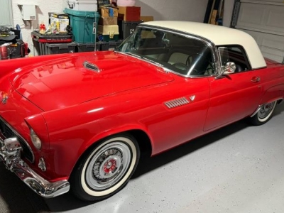 1955 Ford Thunderbird for sale