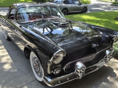 1955 Ford Thunderbird for sale