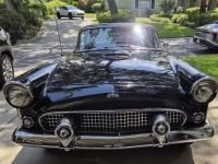 1955 Ford Thunderbird for sale (ID-143619)
