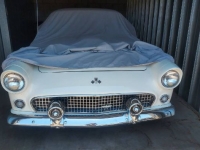 1955 Ford Thunderbird for sale in Michigan (ID-143795)