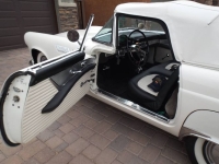 1955 Ford Thunderbird for sale in Michigan (ID-143795)