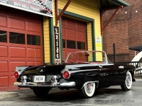 1955 Ford Thunderbird for sale in Riverhead, New York (ID-143951)