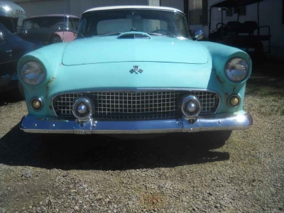 1955 Ford Thunderbird for sale