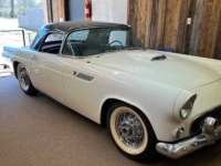 1955 Ford Thunderbird for sale in Michigan (ID-162019)