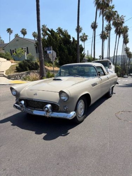 1955 Ford Thunderbird for sale in Michigan (ID-162610)