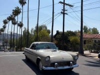 1955 Ford Thunderbird for sale in Michigan (ID-162610)