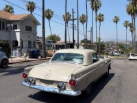 1955 Ford Thunderbird for sale in Michigan (ID-162610)