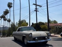1955 Ford Thunderbird for sale in Michigan (ID-162610)