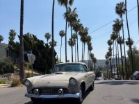 1955 Ford Thunderbird for sale in Michigan (ID-162610)