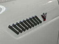 1955 Ford Thunderbird for sale in Michigan (ID-163135)