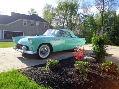 1955 Ford Thunderbird for sale