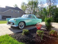 1955 Ford Thunderbird for sale in Michigan (ID-163181)