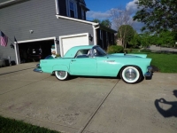 1955 Ford Thunderbird for sale in Michigan (ID-163181)