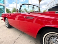 1955 Ford Thunderbird for sale in Riverhead, New York (ID-163615)
