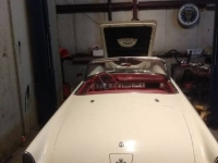 1955 Ford Thunderbird for sale in Michigan (ID-163969)