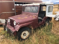 1955 Jeep CJ5 for sale (ID-100255)