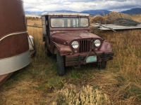1955 Jeep CJ5 for sale (ID-100255)