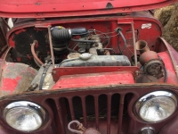 1955 Jeep CJ5 for sale (ID-100255)