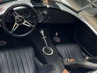 1955 Shelby Cobra for sale in Michigan (ID-119627)