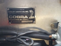 1955 Shelby Cobra for sale in Michigan (ID-119627)