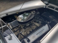 1955 Shelby Cobra for sale in Michigan (ID-119627)