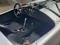 1955 Shelby Cobra for sale in Michigan (ID-119627)