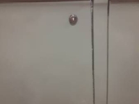 1955 Studebaker Commander for sale in Michigan (ID-161636)