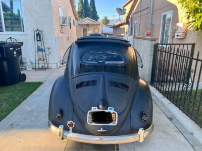 1955 Volkswagen Beetle for sale