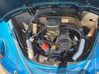 1955 Volkswagen Beetle for sale (ID-142099)