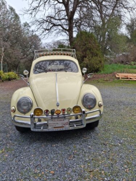 1955 Volkswagen Beetle for sale in Michigan (ID-143757)