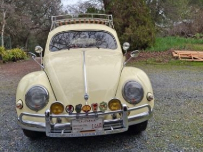 1955 Volkswagen Beetle for sale