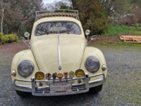 1955 Volkswagen Beetle for sale in Michigan (ID-143757)